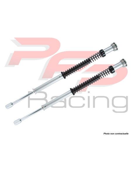 Kit cartouche ÖHLINS type NIX25 HARLEY DAVIDSON TOURING FLH - FLT 2014 - 2016