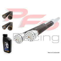 Kit cartouche ÖHLINS bitube TTX 25 KAWASAKI ZX10R 2016 - 2023 - SUZUKI GSX-R 1000 R 2017 - 2022