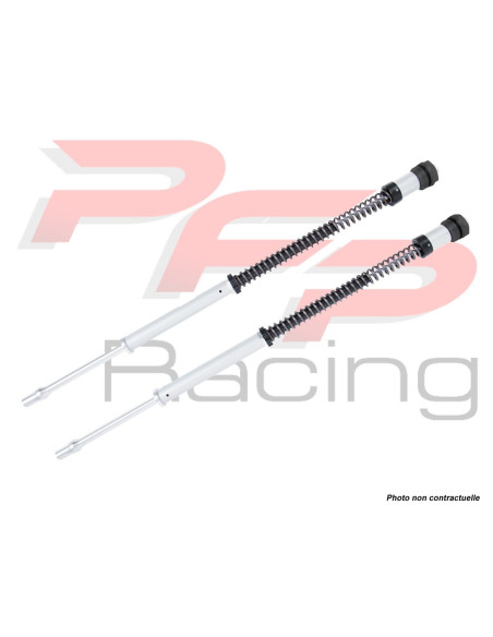 Kit cartouche ÖHLINS NIX 22 SUZUKI SV650 2016 - 2018 - SVX 650 2018