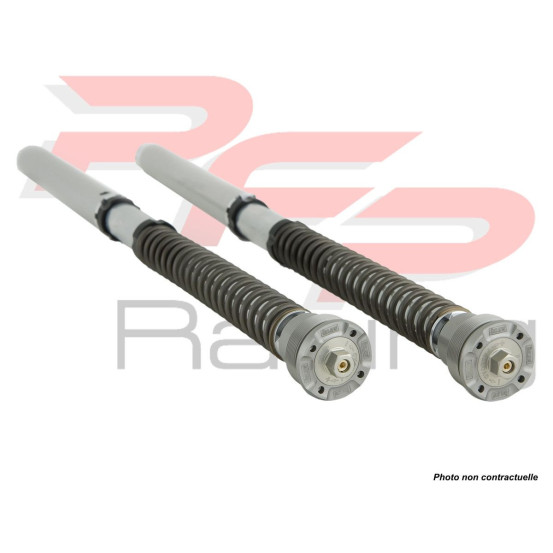 Kit cartouche ÖHLINS NIX 22 BMW R NINE T PURE 2017 - 2023 - RACER 2017 - 2020