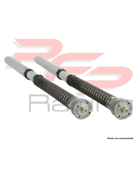 Kit cartouche ÖHLINS NIX 22 BMW R NINE T PURE 2017 - 2023 - RACER 2017 - 2020
