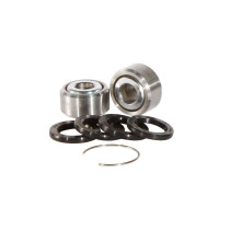 Roulements d'amortisseurs PIVOT WORKS 250 LT R 1987-1990