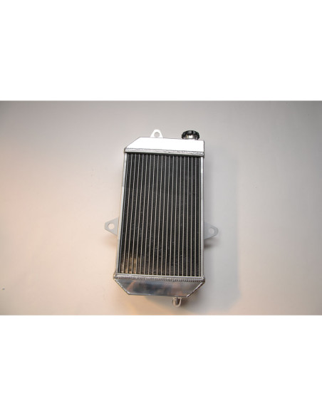 Radiateur quad renforcé IROD Yamaha 350 Banshee 1987-2011