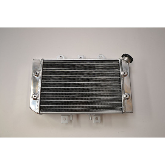 Radiateur quad renforcé IROD Polaris 500 Predator 2003-2007