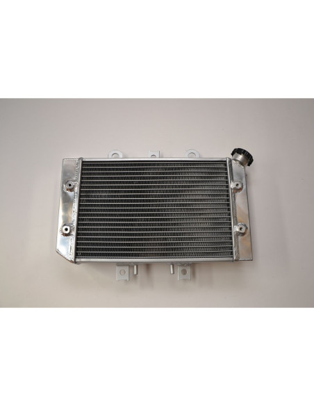 Radiateur quad renforcé IROD Polaris 500 Predator 2003-2007