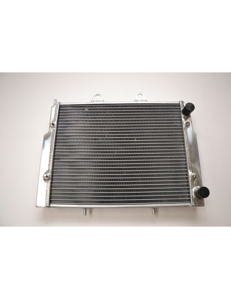 Radiateur quad renforcé IROD Polaris 800 RZR 2007-2011 570 RZR 2012-2014