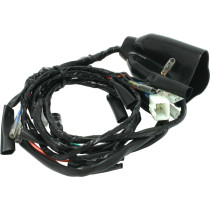Faisceau DRC de remplacement pour kit D4570053 et D4570052
