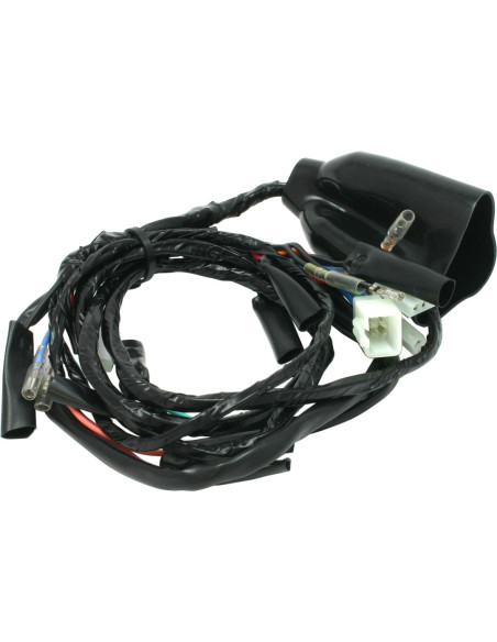 Faisceau DRC de remplacement pour kit D4570053 et D4570052