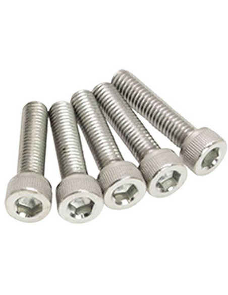 Lot de vis Inox tête BTR DRC M6 15mm (x5)