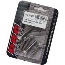Lot de vis Inox tête BTR DRC M6 30mm (x5)