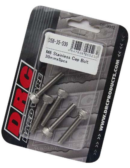 Lot de vis Inox tête BTR DRC M6 30mm (x5)