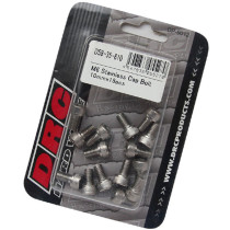 Lot de vis Inox tête BTR DRC M6 10mm (x15)