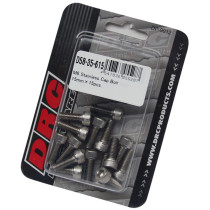 Lot de vis Inox tête BTR DRC M6 15mm (x15)