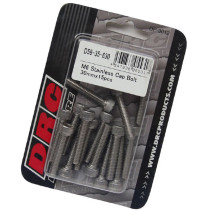 Lot de vis Inox tête BTR DRC M6 30mm (x15)