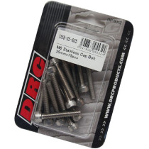 Lot de vis Inox tête BTR DRC M6 35mm (x15)