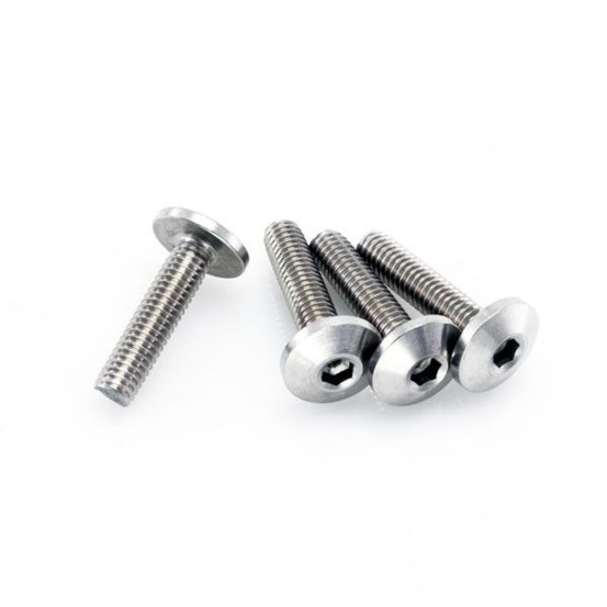 Lot de vis Inox tête Bombée DRC M6 10mm (x4)