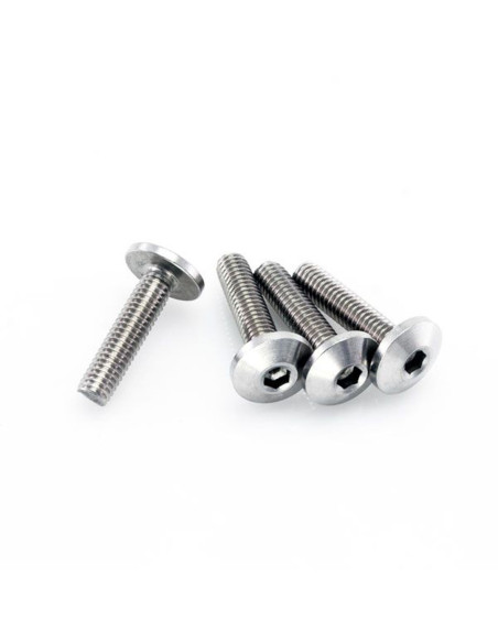Lot de vis Inox tête Bombée DRC M6 10mm (x4)