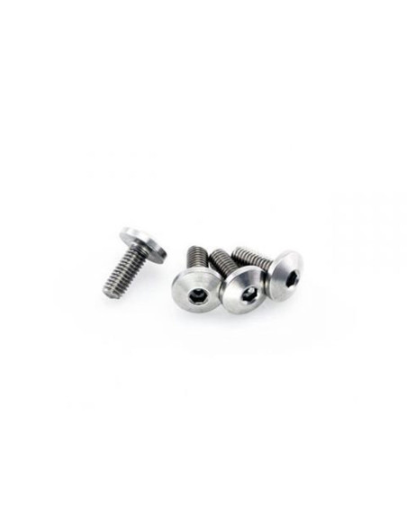 Lot de vis Inox tête Bombée DRC M6 15mm (x4)