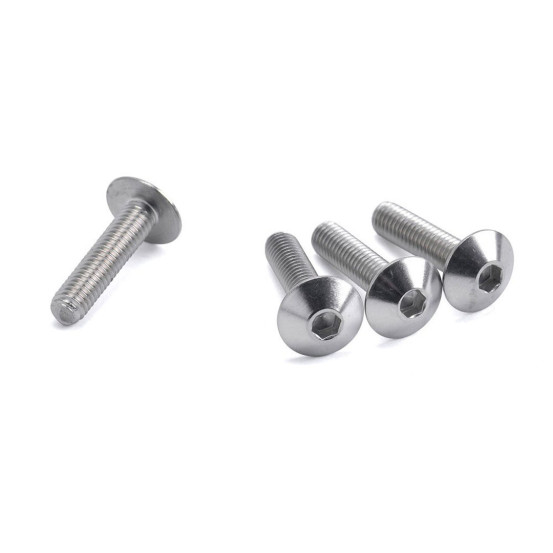 Lot de vis Inox tête Bombée DRC M6 25mm (x4)