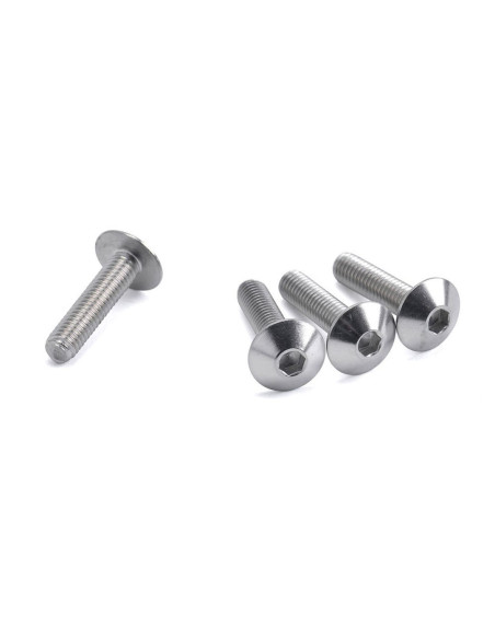 Lot de vis Inox tête Bombée DRC M6 25mm (x4)