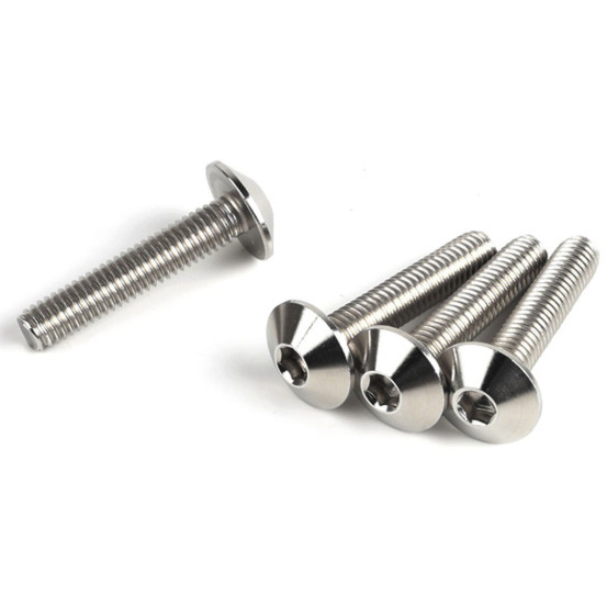 Lot de vis Inox tête Bombée DRC M6 30mm (x4)