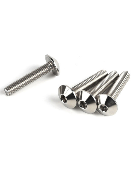Lot de vis Inox tête Bombée DRC M6 30mm (x4)