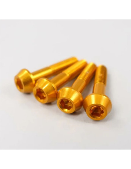 Lot de vis alu tête BTR conique DRC M6 30mm Or (x4)