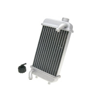 Radiateur avec bouchon 101 OCTANE Peugeot 50 XP6 2008-2012