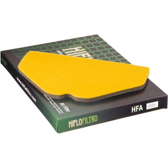 Filtre à air HIFLOFILTRO HFA2909