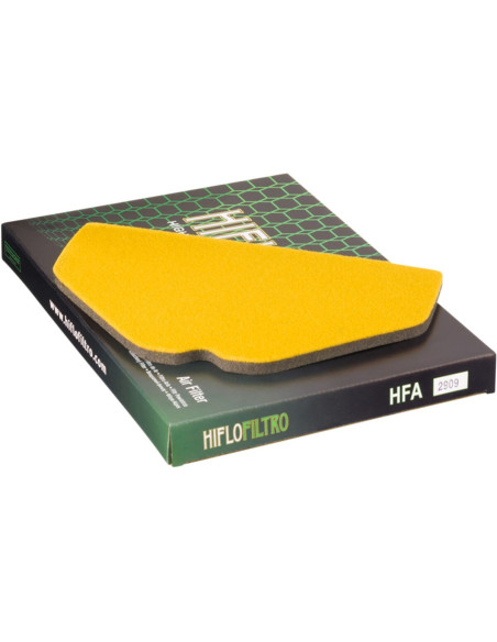 Filtre à air HIFLOFILTRO HFA2909