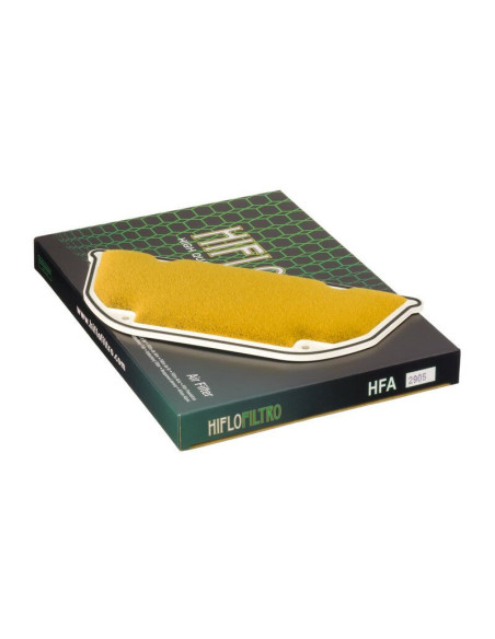 Filtre à air HIFLOFILTRO HFA2905