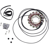 Stator RICK'S BMW 1000 S HP4/1000 S RR