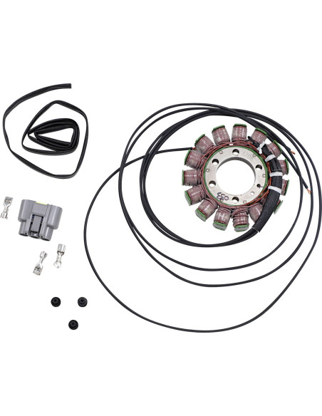 Stator RICK'S BMW 1000 S HP4/1000 S RR
