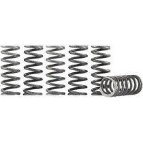 Kit 6 ressorts d'embrayage haute performance HINSON Suzuki 400 DRZ 2000-2005
