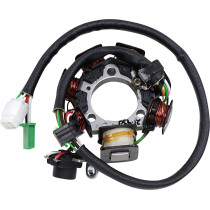 Stator RICK'S YAMAHA 90 TT-R E 2003-2007