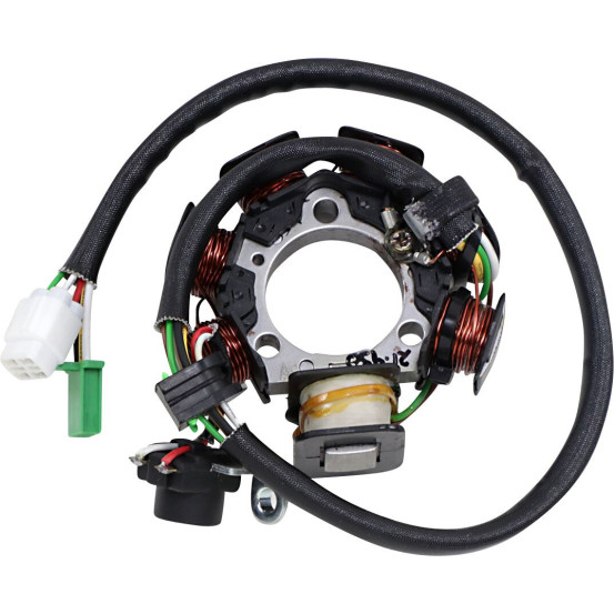 Stator RICK'S YAMAHA 90 TT-R E 2003-2007