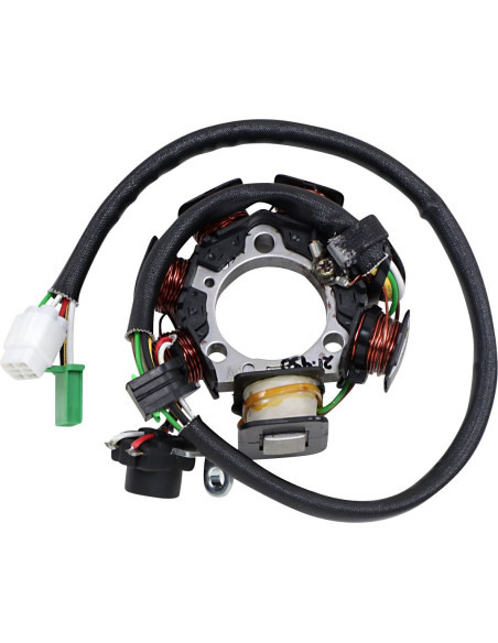Stator RICK'S YAMAHA 90 TT-R E 2003-2007