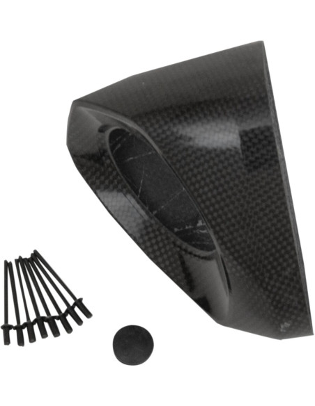 Embout de silencieux AKRAPOVIC Carbone V-EC210