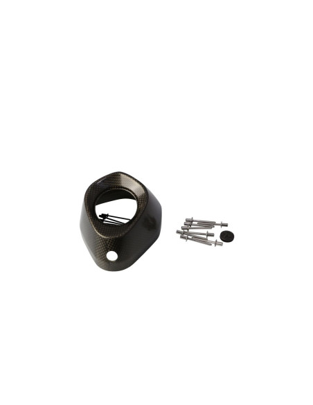 Embout de silencieux AKRAPOVIC Carbone V-EC146