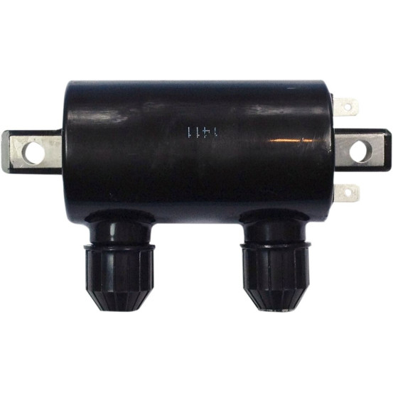 Bobine d'allumage RICK'S HONDA 500-700 VT