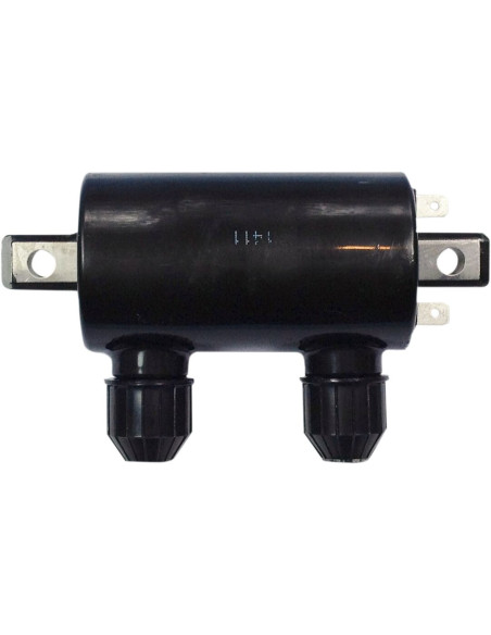 Bobine d'allumage RICK'S HONDA 500-700 VT