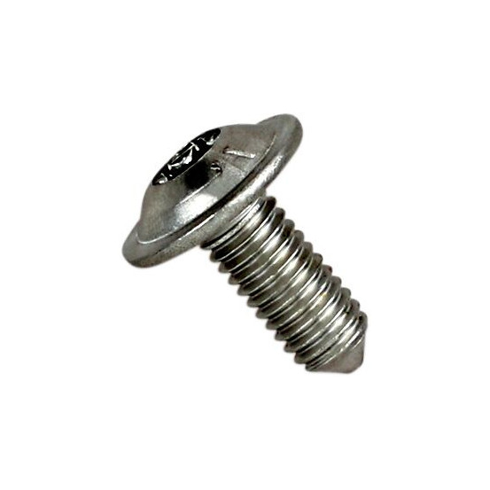 Vis de remplacement AKRAPOVIC P-FB37