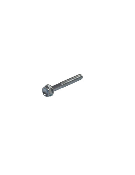 Vis de remplacement AKRAPOVIC P-FB12