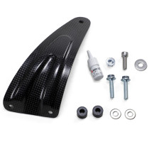 Supports de silencieux AKRAPOVIC Carbone Aprilia RSV4 2015-2018
