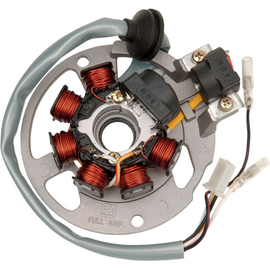 Stator RICK'S POLARIS 50-90 AXL/DXL/RXL/PREDATOR/SCRAMBLER/SPORTSMAN