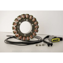 Stator RICK'S YAMAHA 900 TDM