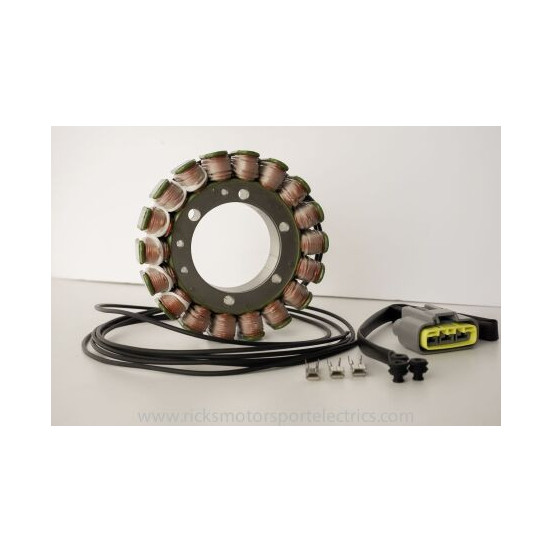 Stator RICK'S YAMAHA 900 TDM