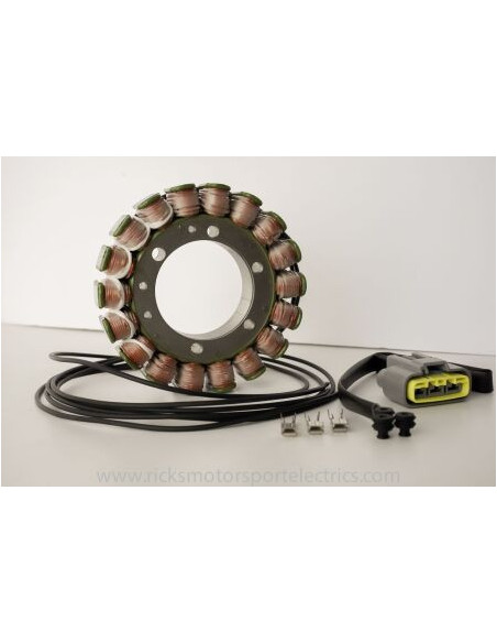 Stator RICK'S YAMAHA 900 TDM