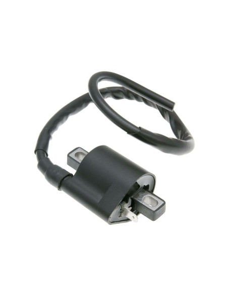Bobine d'allumage 101 OCTANE universelle