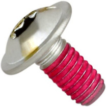 Vis de remplacement AKRAPOVIC P-FB38